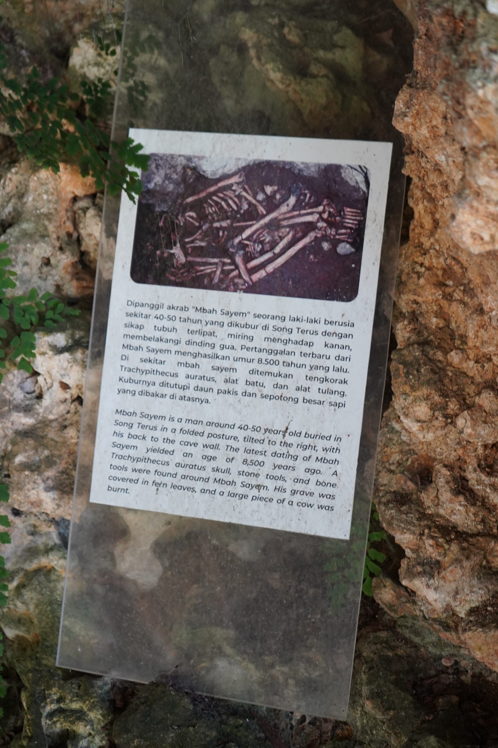 Slide 3